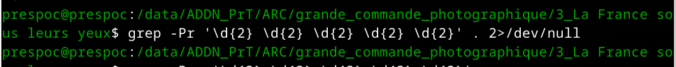 Capture d'écran d'un terminal. On y trouve, en vert, le répertoire actuel, qui commence par /data/ADDN_PrT et se termine par /Appel 2, la ligne de commande qui est grep -Pr '\d{2} \d{2} \d{2} \d{2} \d{2}' . 2>/dev/null .
A la suite, l'invite de commande est à nouveau visible, ce qui signifie qu'il n'y a eu aucun résultat à la commande.