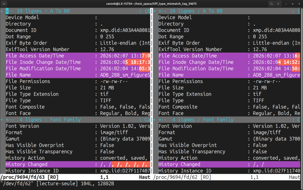 Capture d'écran d'un terminal, avec le résultat de la commande vimdiff appliquée à deux fichiers de propriétés générés par exiftool. Les lignes différentes sont sur fond violet, et au sein de la ligne les parties différentes sont sur fond rouge.