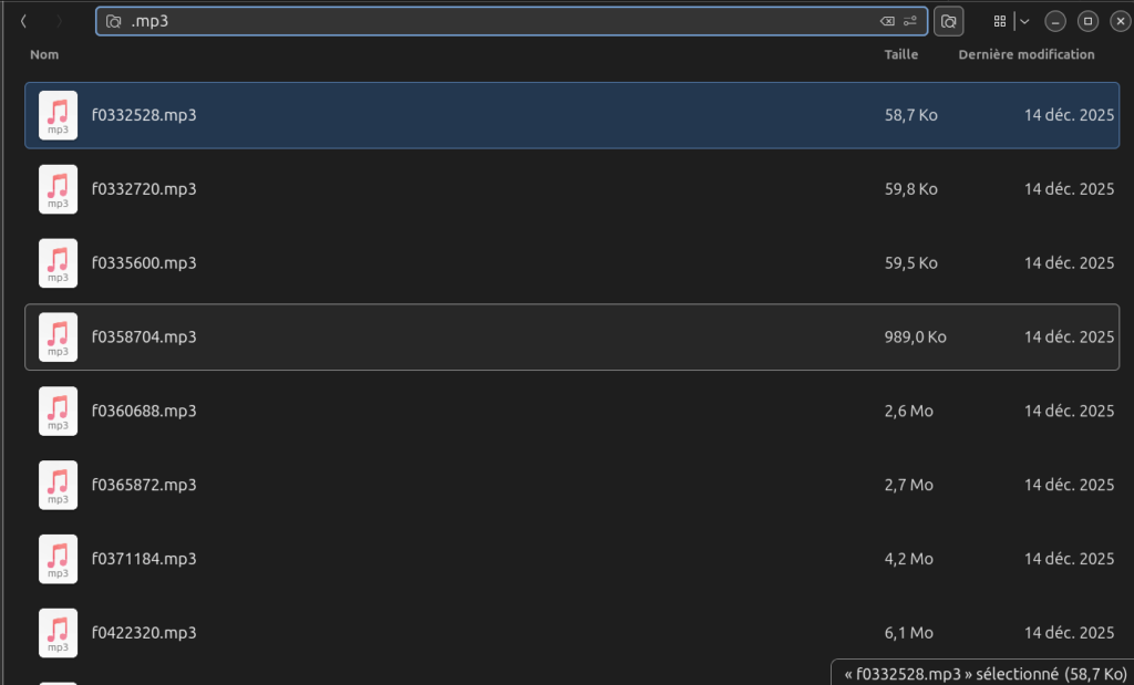 Capture d'écran d'un explorateur de fichiers montrant plusieurs fichiers MP3 dont le nom est non signifiant.