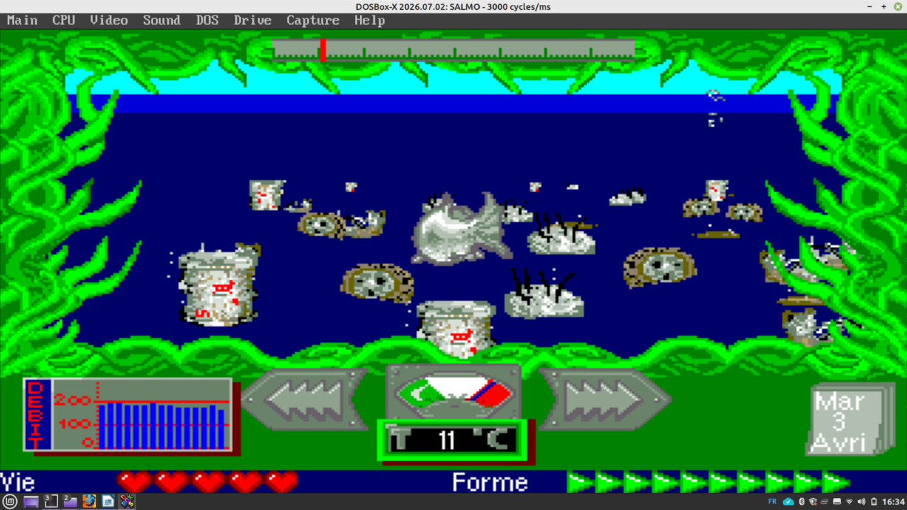 Capture d'écran du jeu "L'aventure du saumon". Le saumon est en train de remonter un bief, en vue TPS.